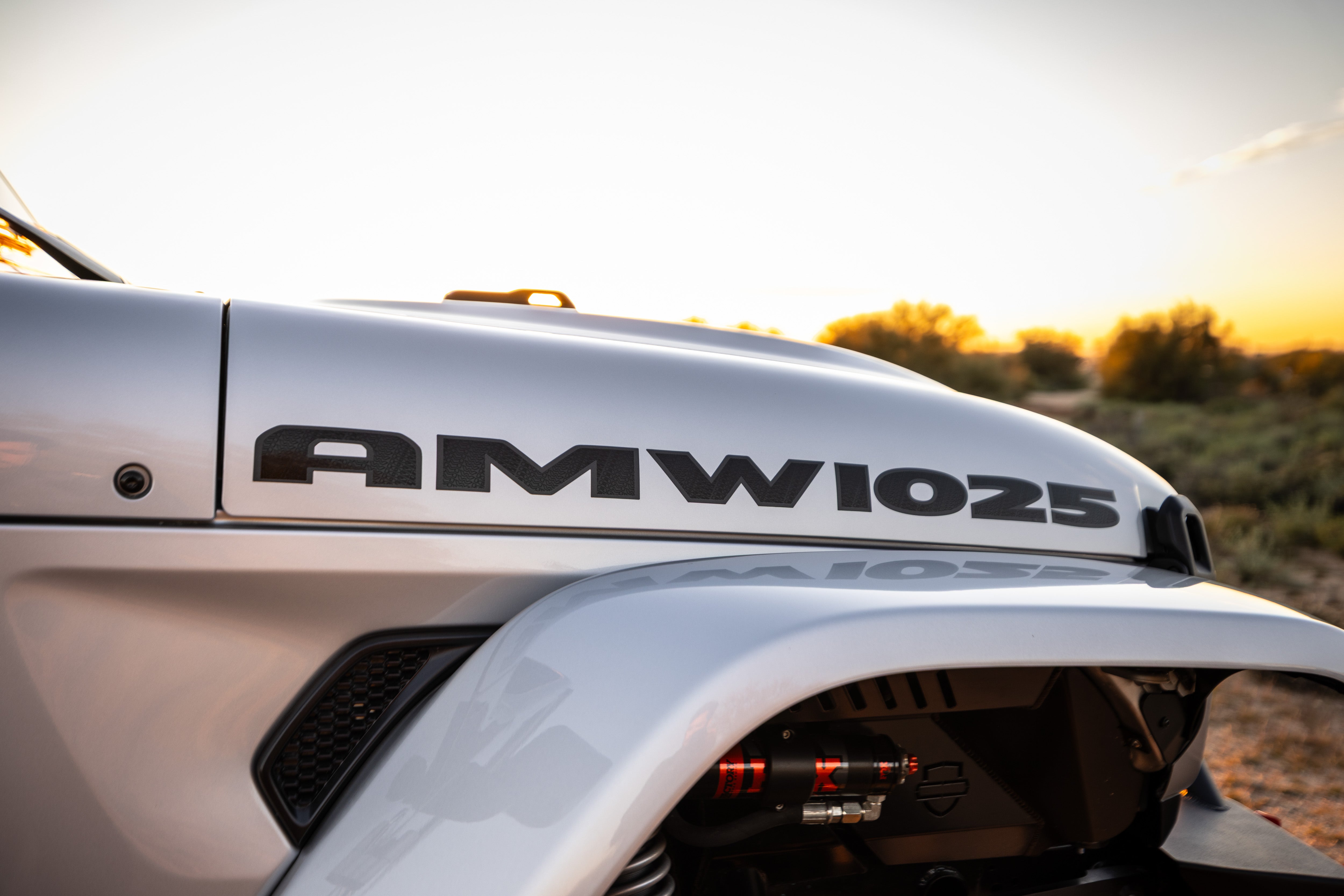 AMW 1025 | Demon 170 Gladiator