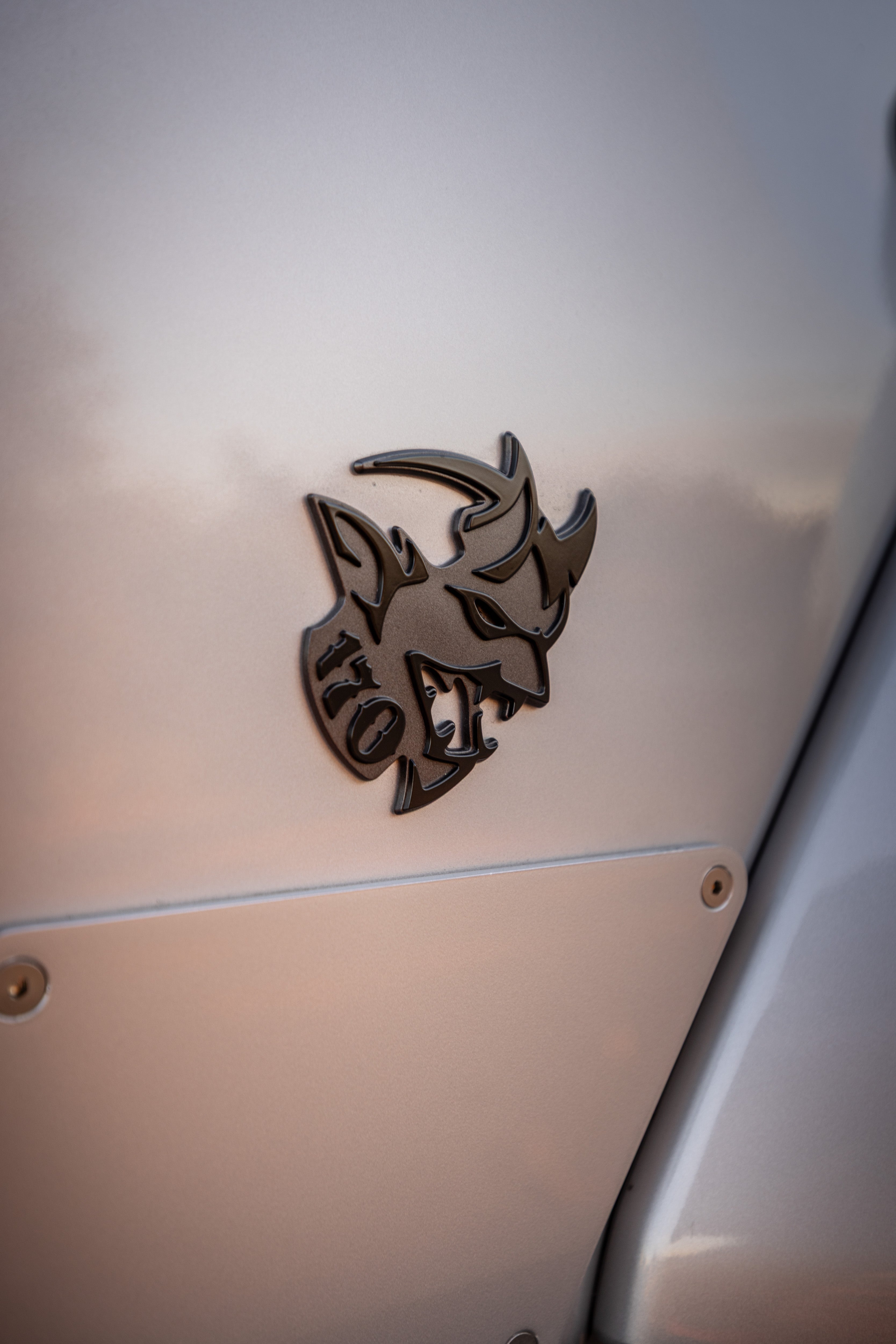 AMW 1025 | Demon 170 Gladiator